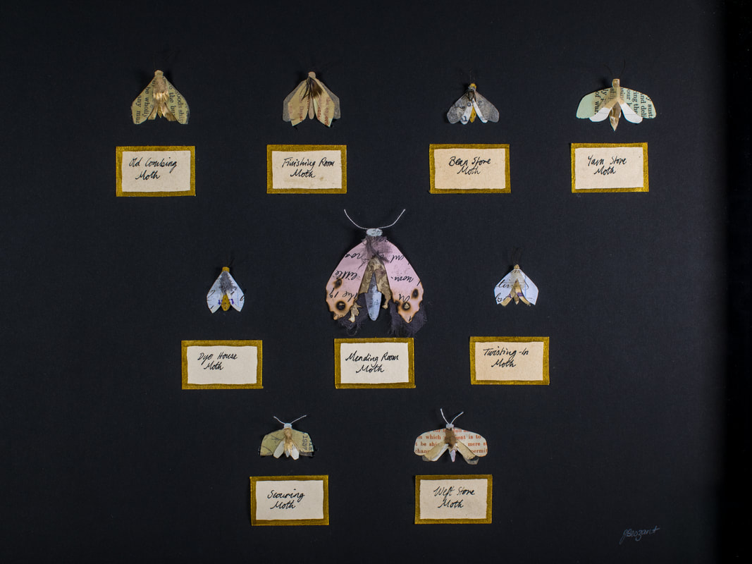 Moth Collection II Josie Beszant